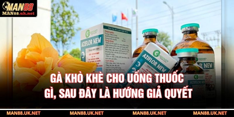 Gà khò khè cho uống thuốc gì, sau đây là hướng giả quyết